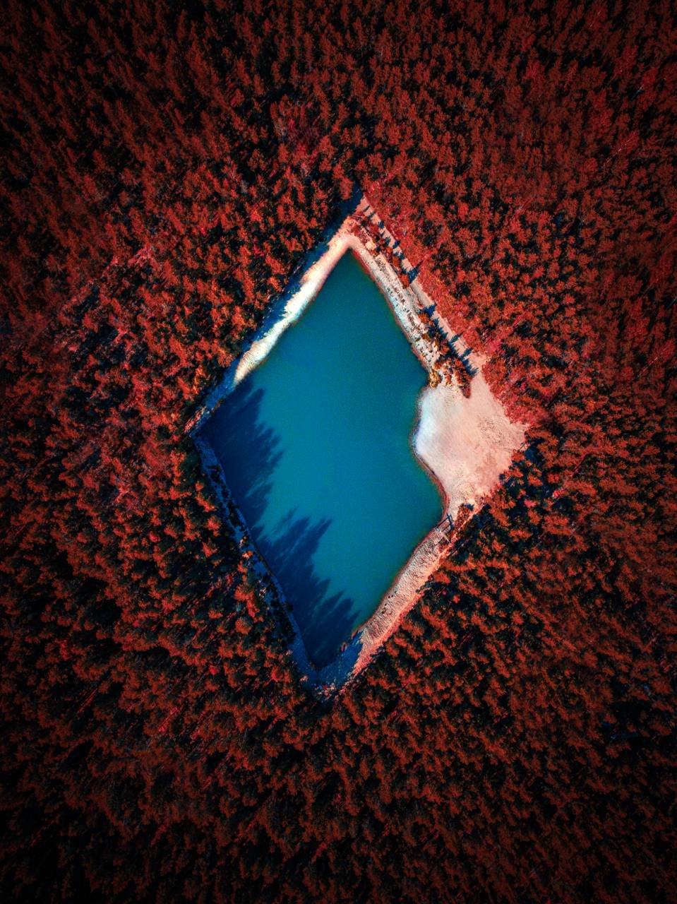 Озеро Ромб в ЛенОбласти