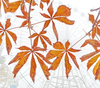 Осенний парк