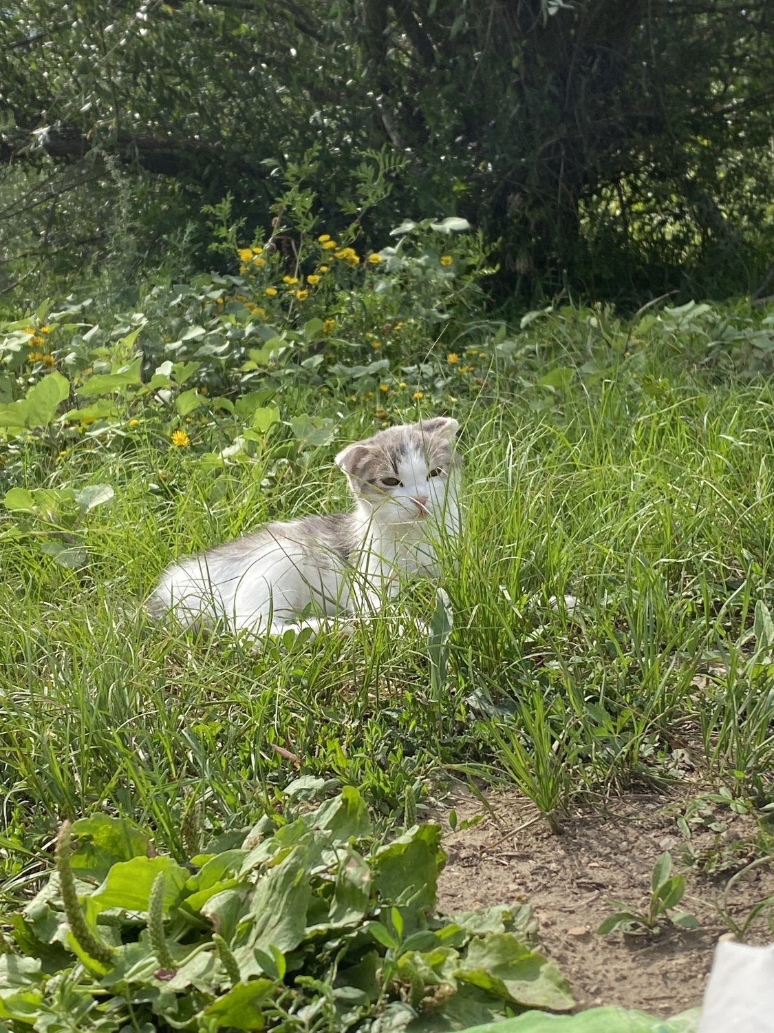Мы все часть природы