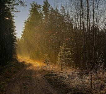 Дорога к свету.