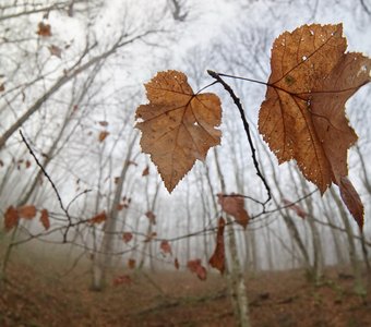 Осенний вальс
