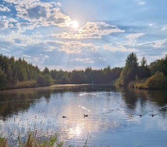 Нетронутая красота