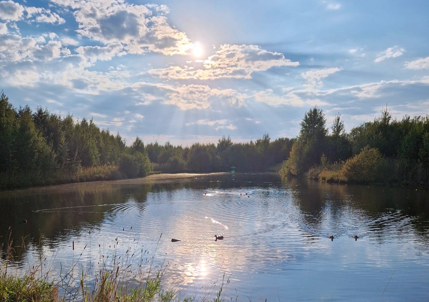 Нетронутая природа Архангельского Севера