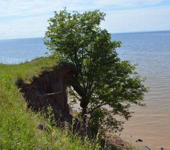 Он стонал, но держал