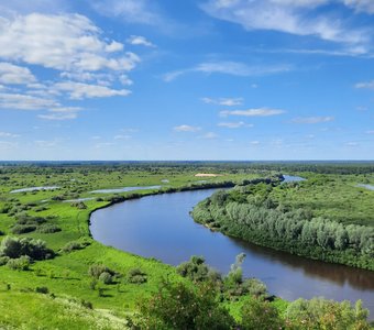 Вязниковский венец