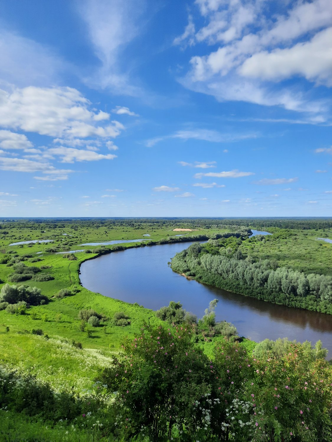 Вязниковский венец