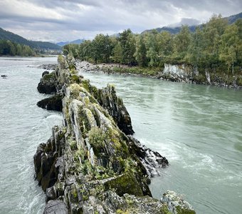 Зубы дракона