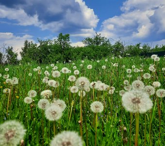 Легкие и воздушные...