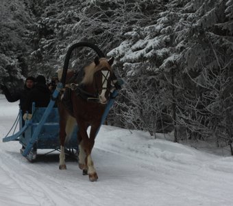 Русская зима