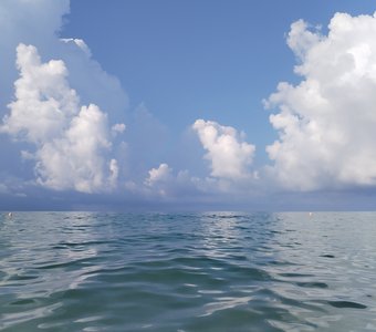 Перед дождем...