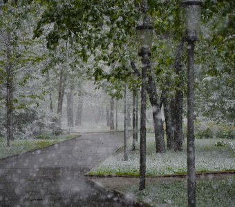 Весенний пейзаж