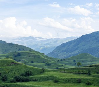 Чохские террасы