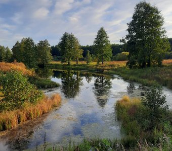 Уж небо осенью дышало...