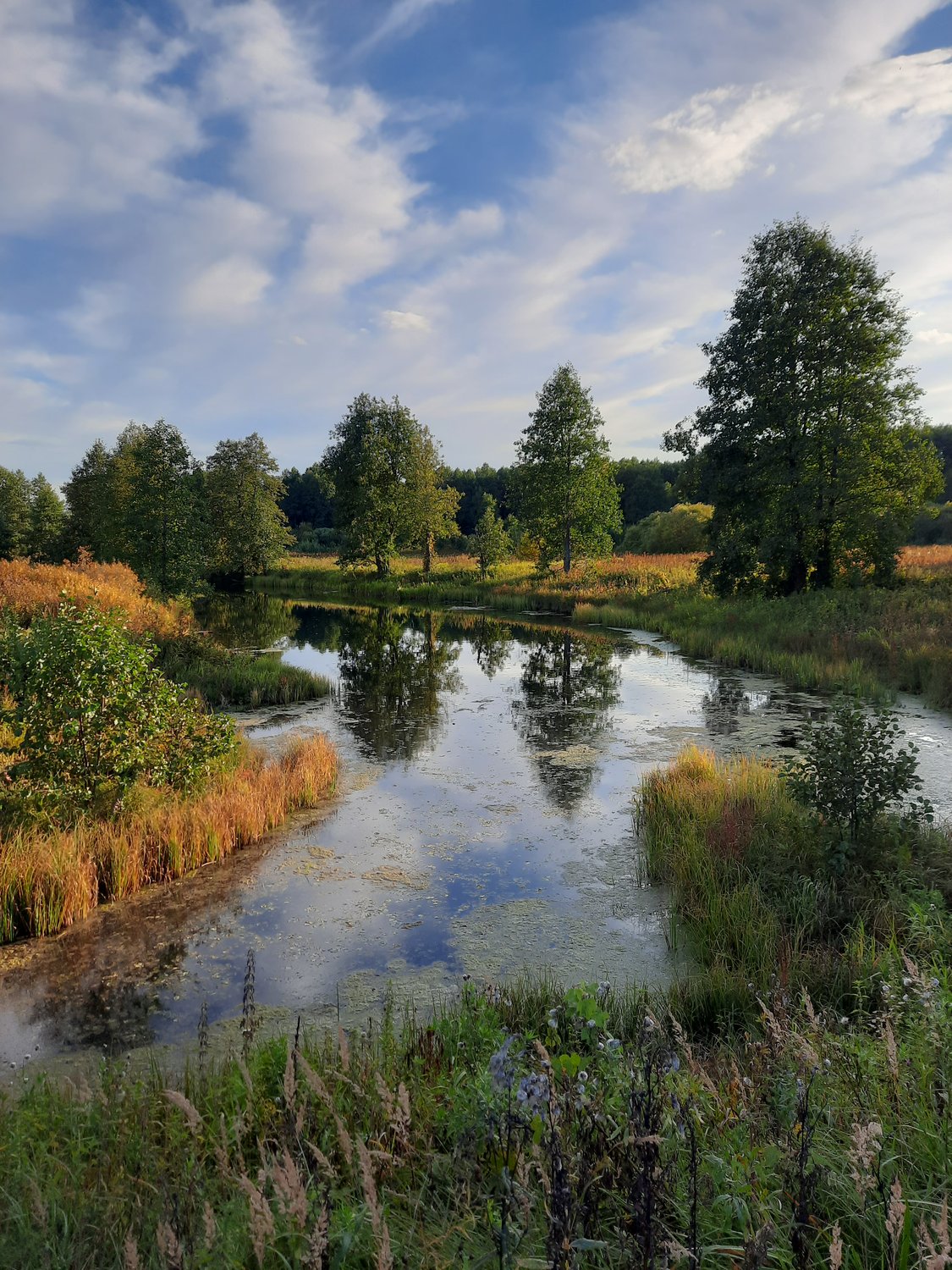 Уж небо осенью дышало