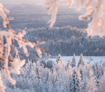 Снежная сказка