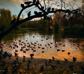 Плавать в «золоте»