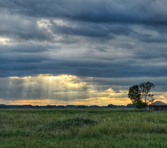 Последняя душа