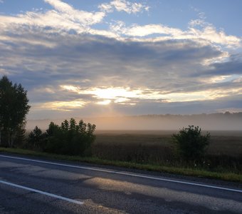 В тишине полей