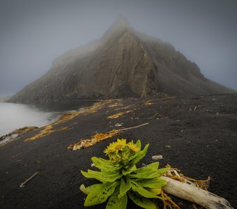 Вулканический конус Такетоми, остров Атласова