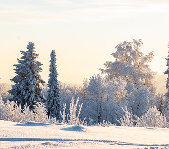 Белая зима в Белогорье