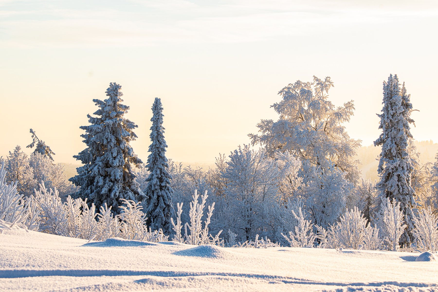 Белая зима в Белогорье