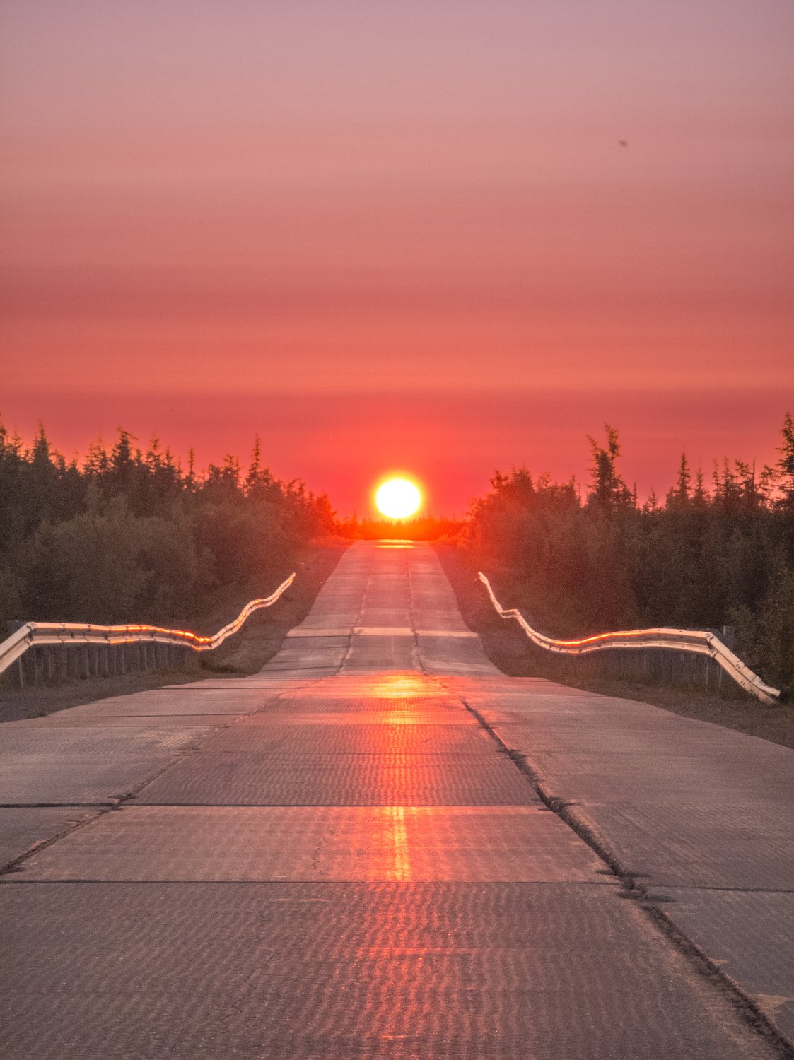 К югу от границы, на запад от солнца