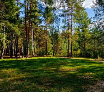 Осенний лес