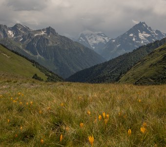 Нежность и величие