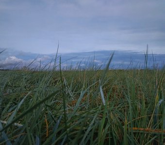 На берегу залива