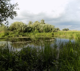 залив Красноперки