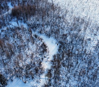 Одинокий лось на реке Тырма