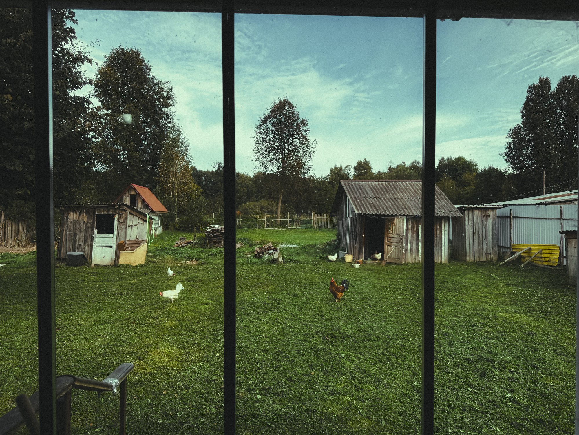 Деревенский двор, вид из окна