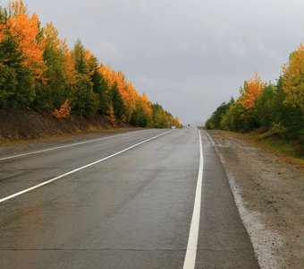 Эх, дорога...