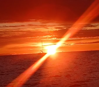 Солнечный луч