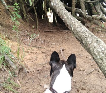 Там кто то есть