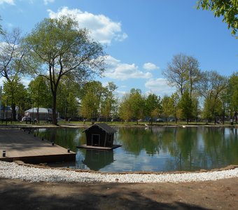 Лебеди в Парке Олега Степанова