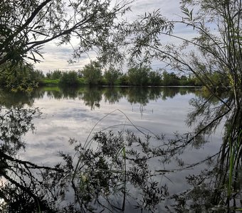 Речное зазеркалье