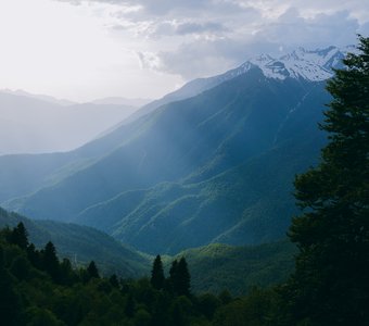 Зелёные дали Красной Поляны