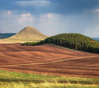 Холмы Башкортостана.