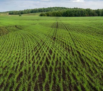 Весенняя геометрия.