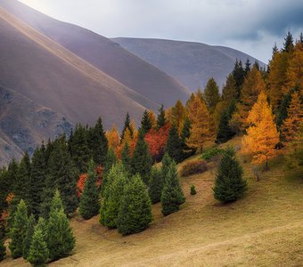 Осень Ак-Тюза