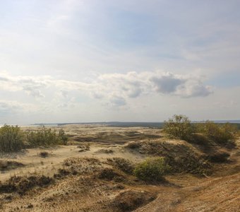 Там где сходятся залив и море