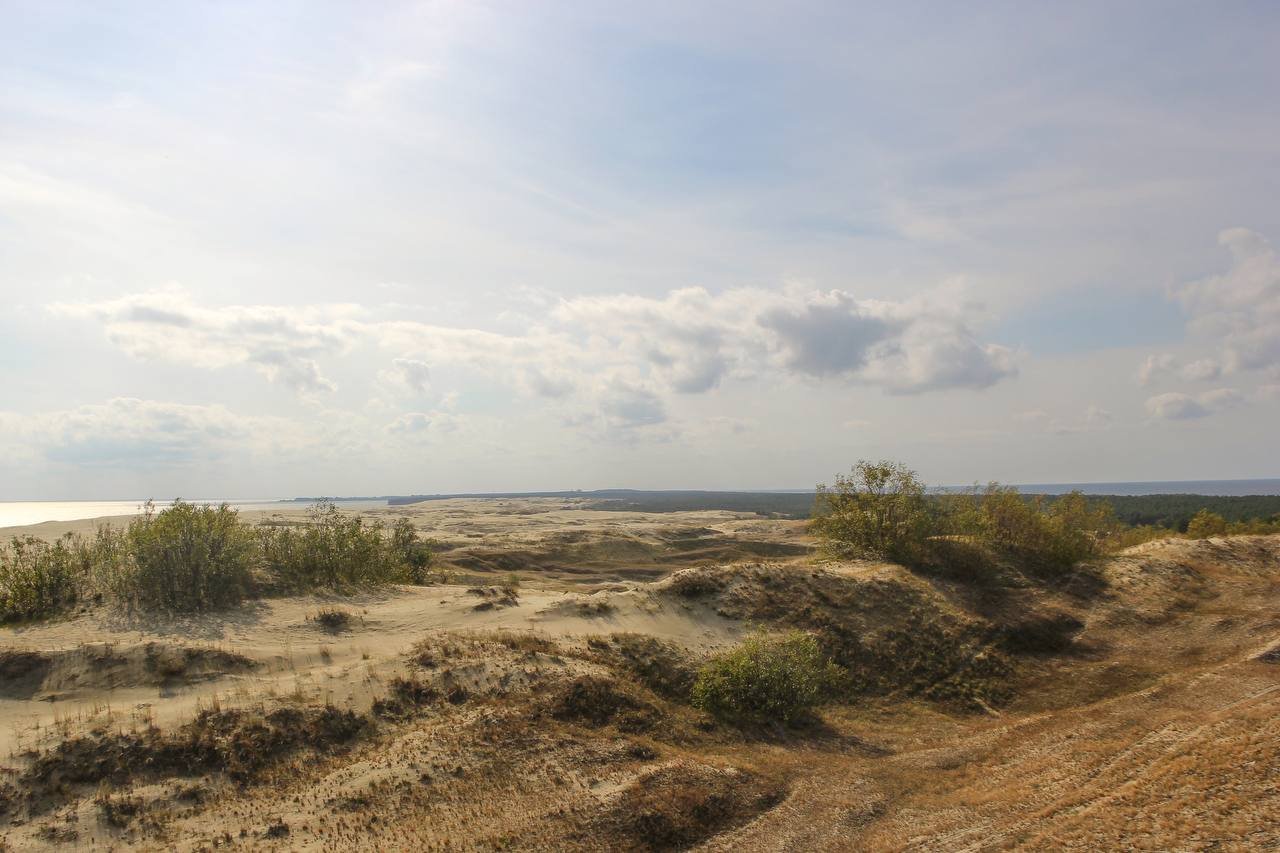 Там где сходятся залив и море