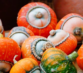 Тыквенная Москва