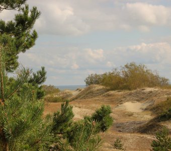 На Высоте Эфа