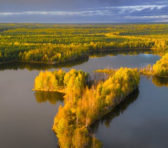 Осень в Коми