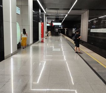 Строгость линий