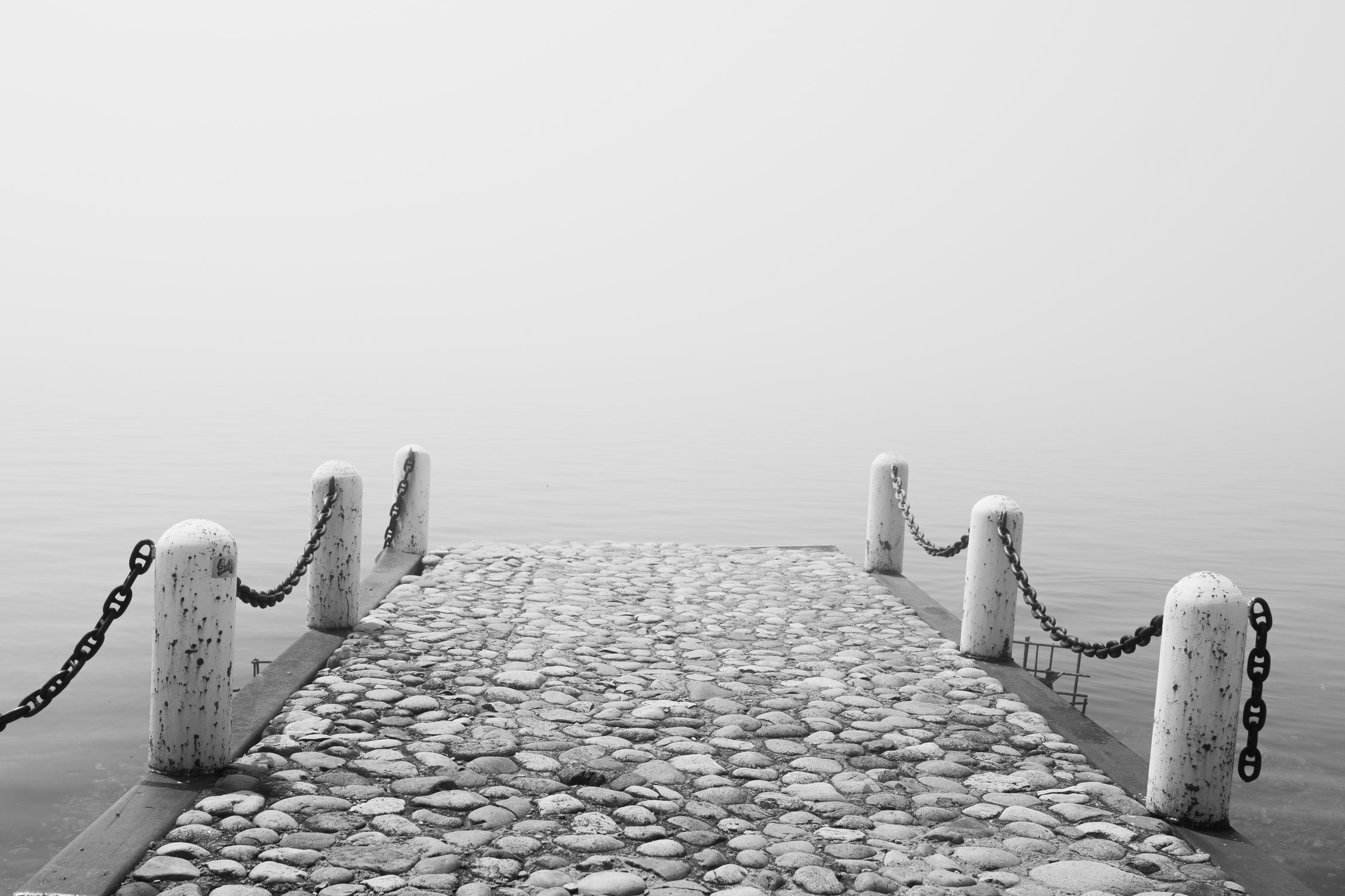 Дорога в жизнь