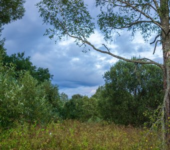 Пейзаж русской природы