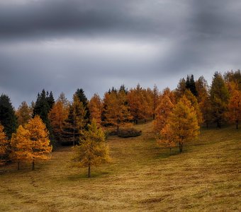 Осенний сон